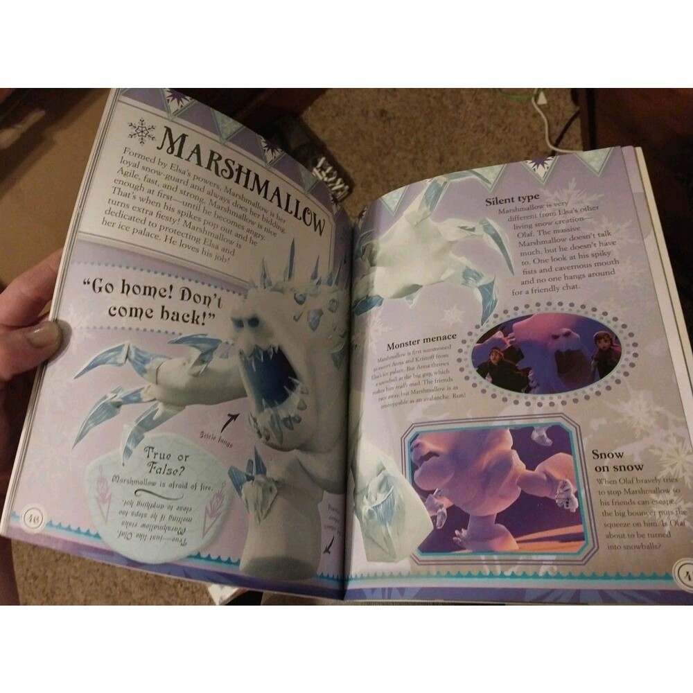 Frozen The Essential Guide - Picture 6 of 8